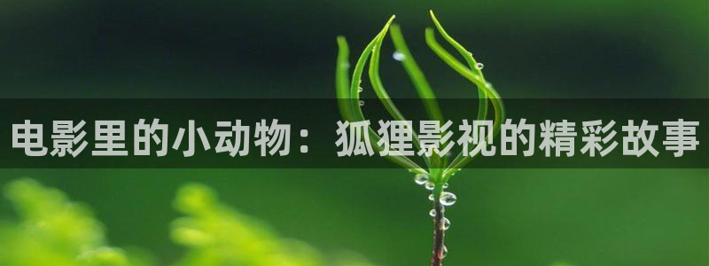 新闻图片