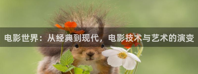 新闻图片