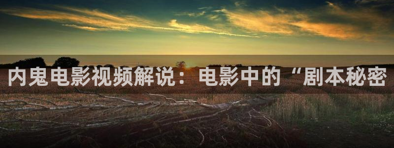 新闻图片