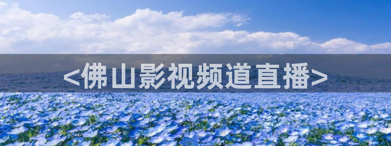 新闻图片