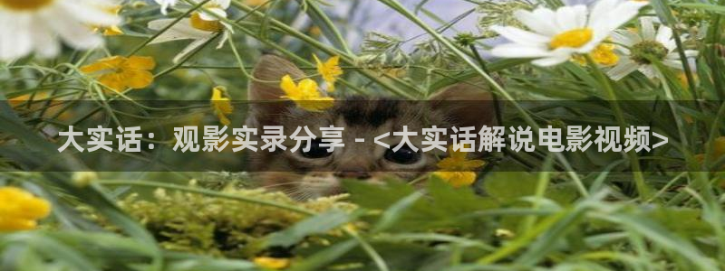 新闻图片